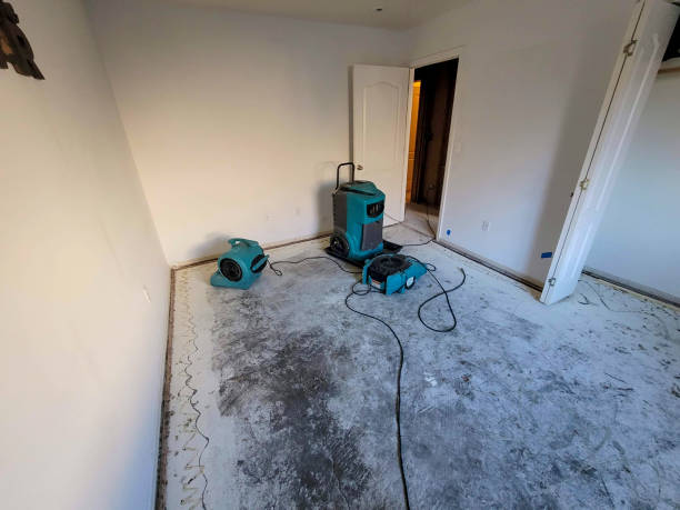 Best Basement water damage restoration  in Yeagertown, PA