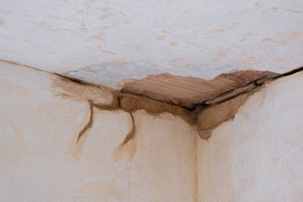 Best Mold removal after water damage  in Yeagertown, PA