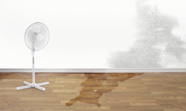 Best Flooded house restoration  in Yeagertown, PA