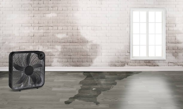 Best Fire Damage Restoration  in Yeagertown, PA