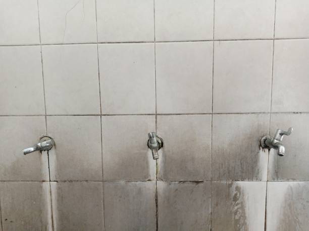 Best 24/7 water damage repair  in Yeagertown, PA