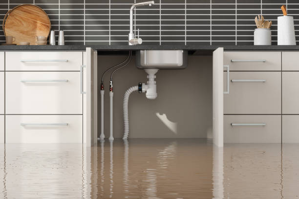 Best Mold removal after water damage  in Yeagertown, PA